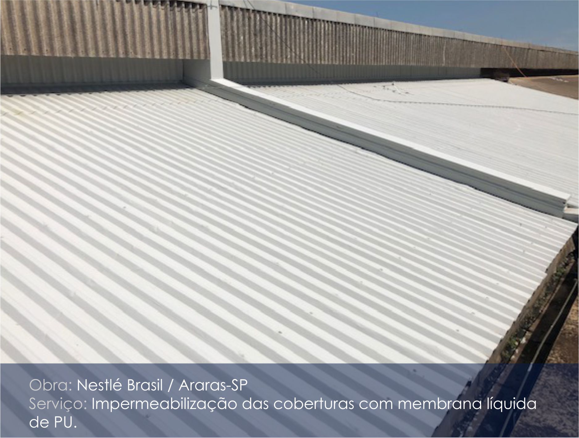 nestle araras_02.jpg