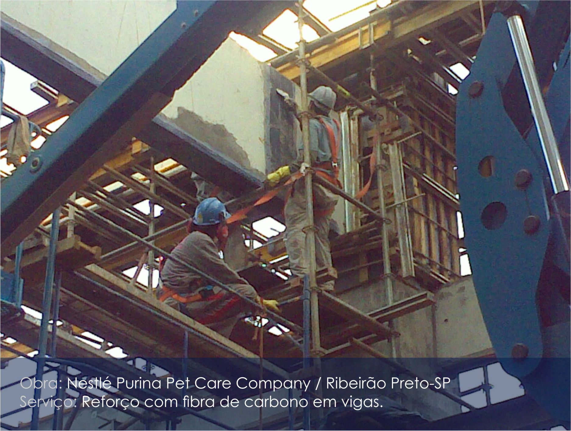 nestle purina_01.jpg