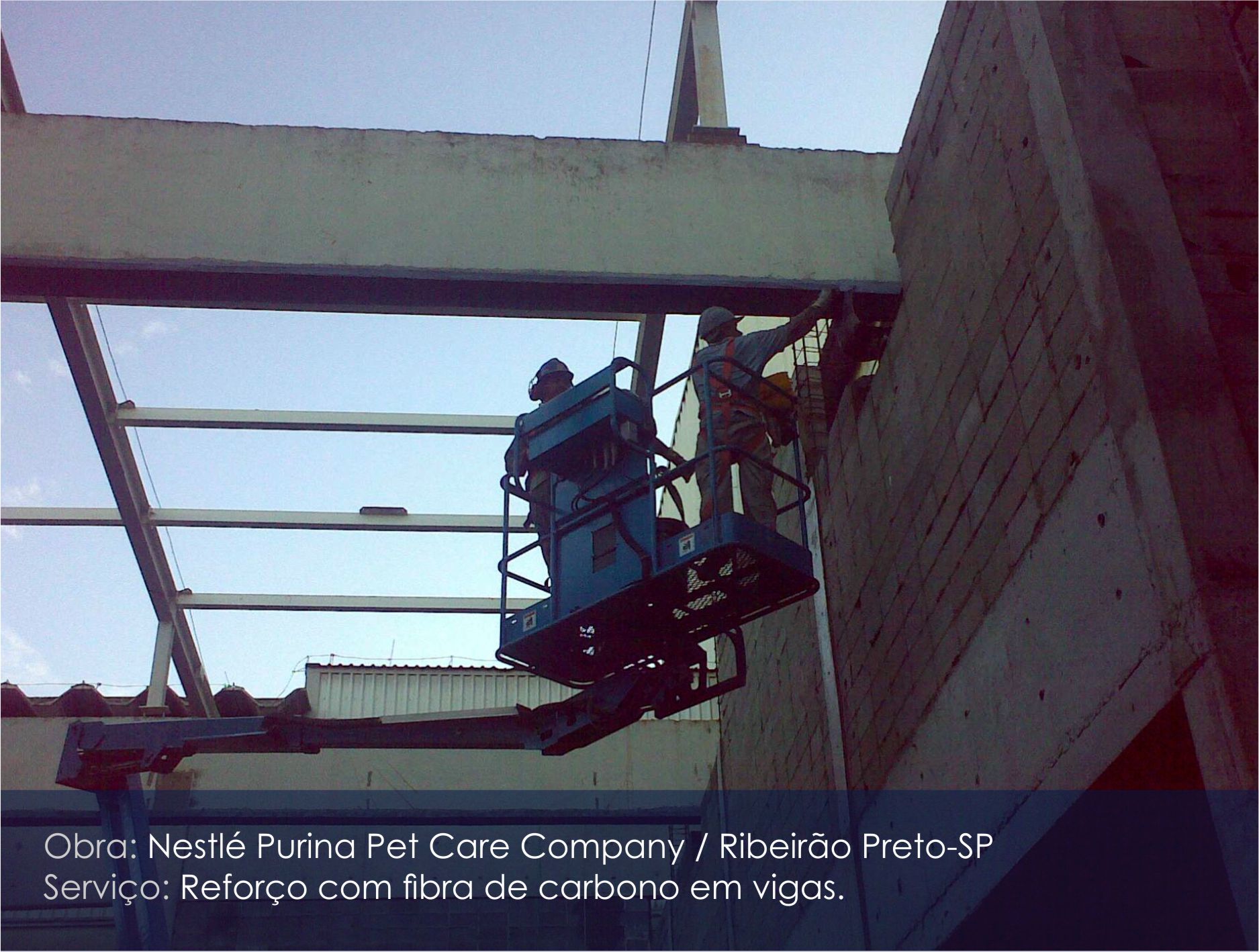 nestle purina_02.jpg